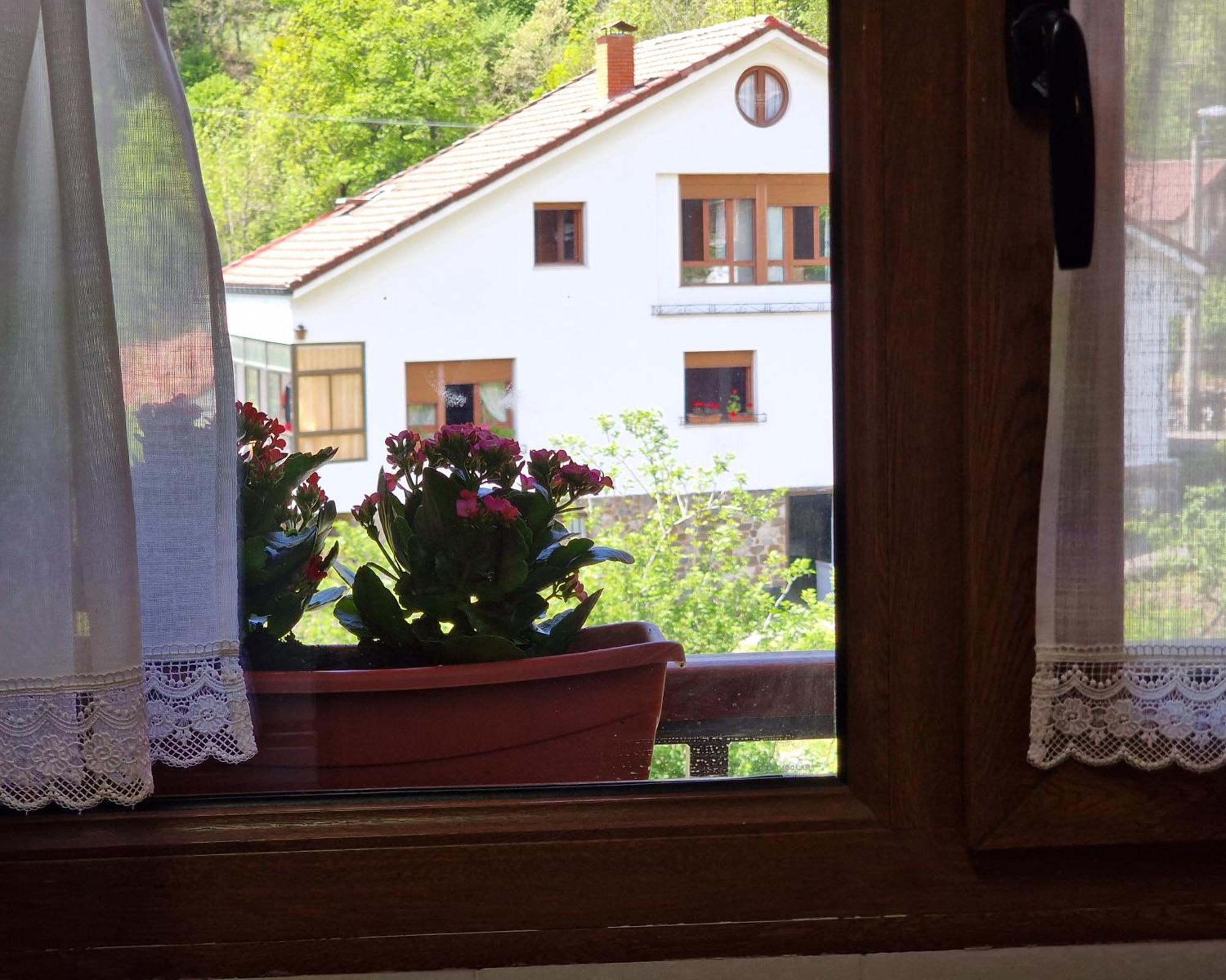 Apartamentos Remona エスピナマ エクステリア 写真